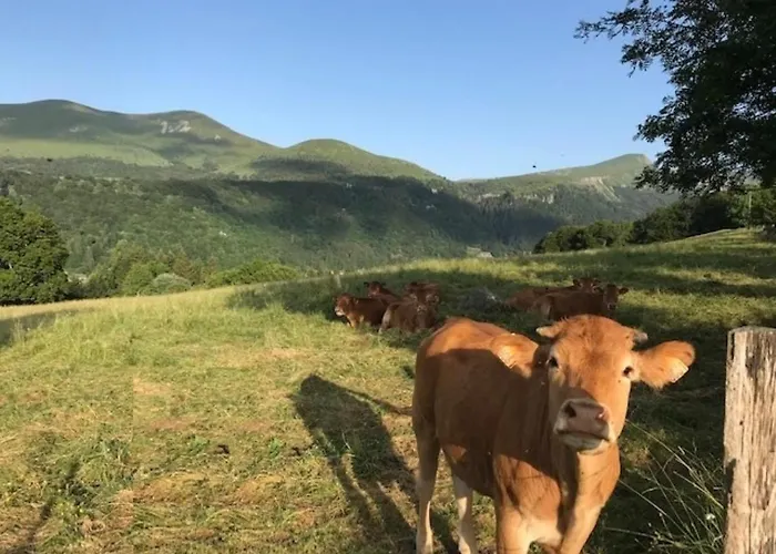 T3 Duplex Au Centre Du Mont-dore Avec Wifi, 5 Pers. - Fr-1-608-217 Mont-Dore