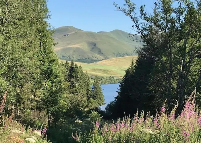 T3 Duplex Au Centre Du Mont-dore Avec Wifi, 5 Pers. - Fr-1-608-217